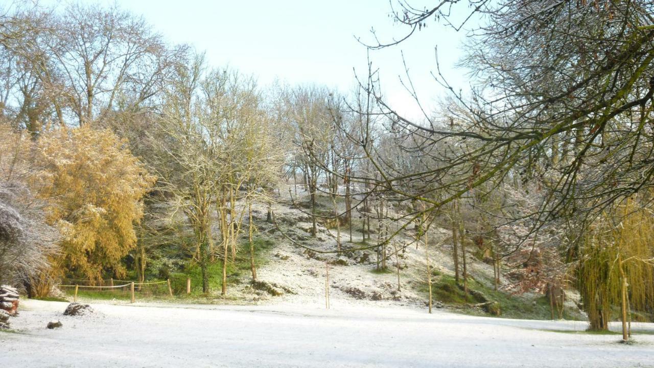 Moulin De Rimer Auvers-le-Hamon Eksteriør bilde